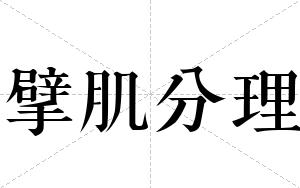 擘肌分理