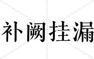 补阙挂漏