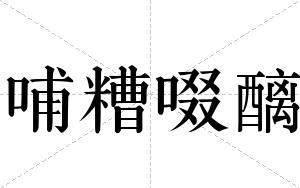 哺糟啜醨