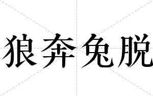 狼奔兔脱