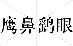 鹰鼻鹞眼
