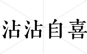 沾沾自喜